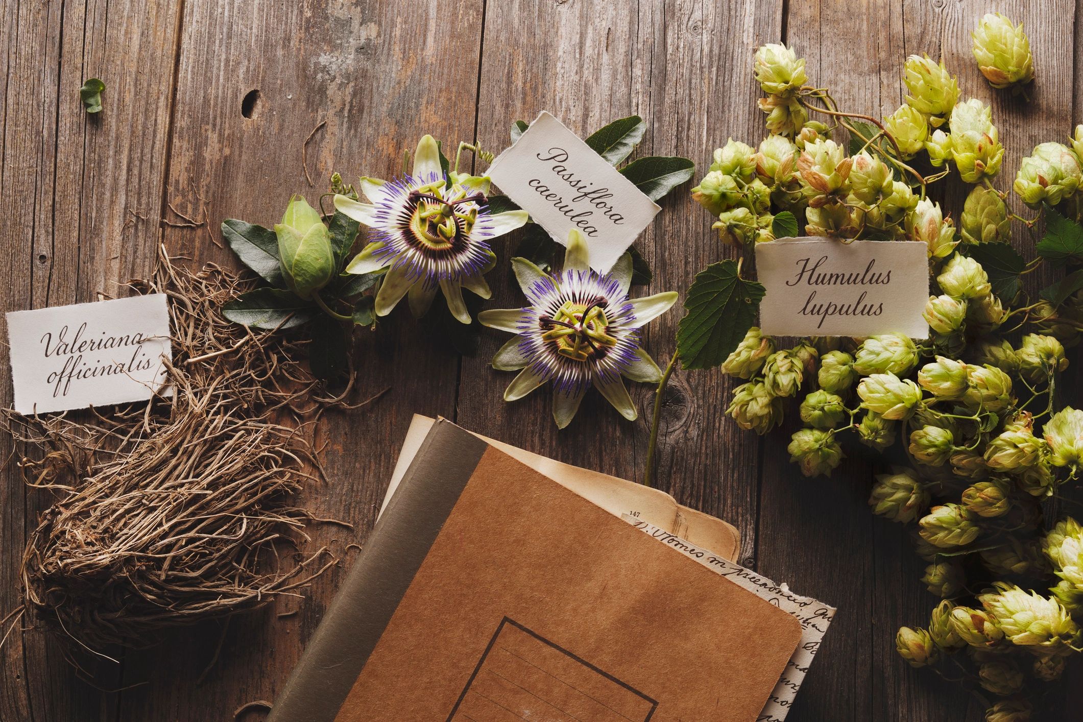 esoteric publication magazine botanical