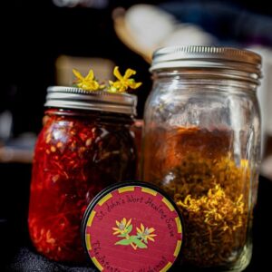 St John's Wort Salve