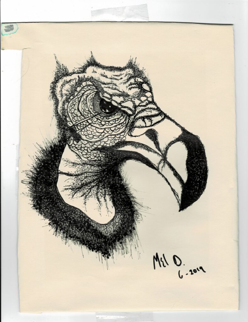 Beloved Vulture