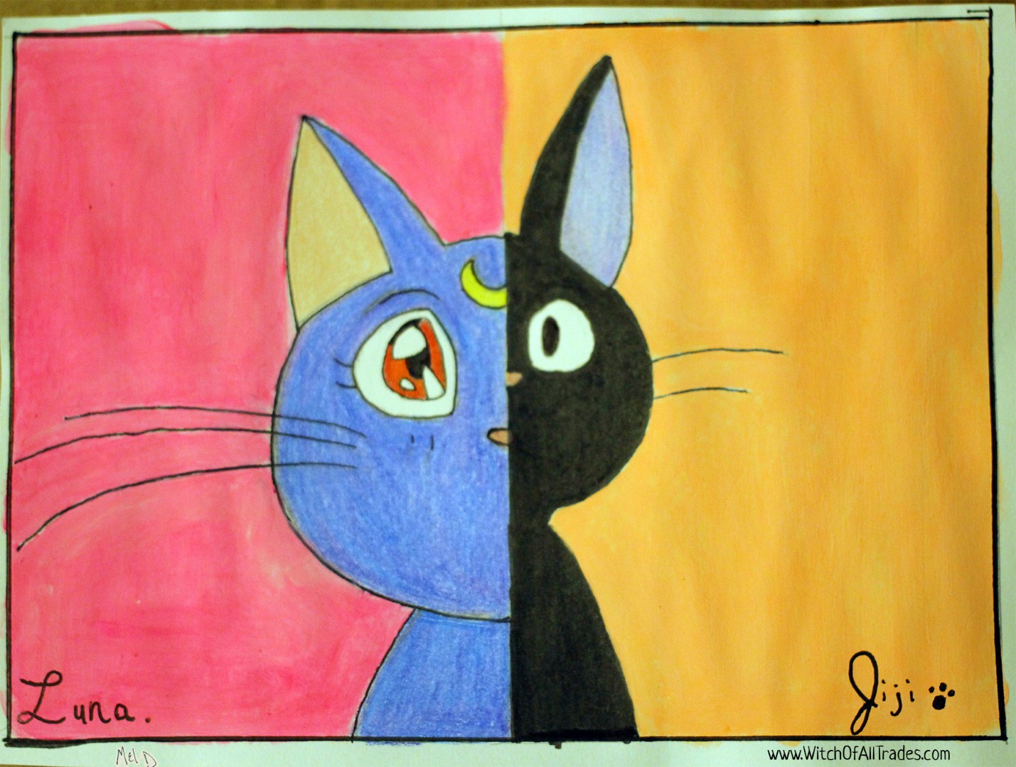 Feline Fandom Collection
