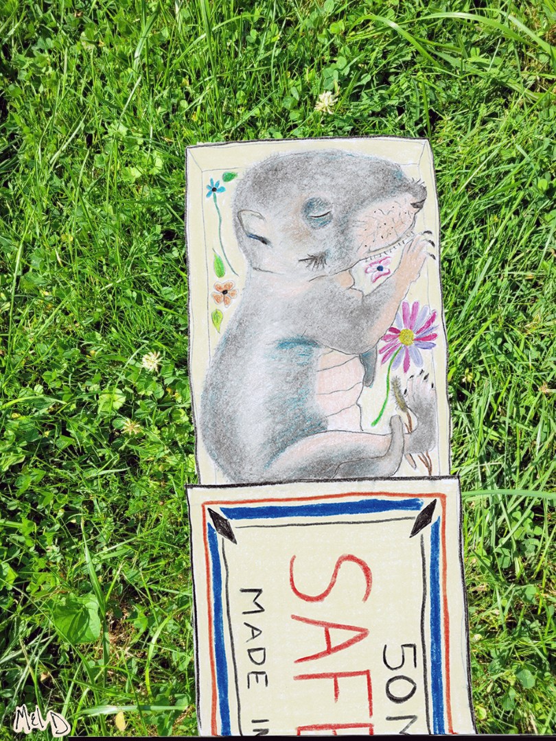 ​ Squirrel in a Matchbox